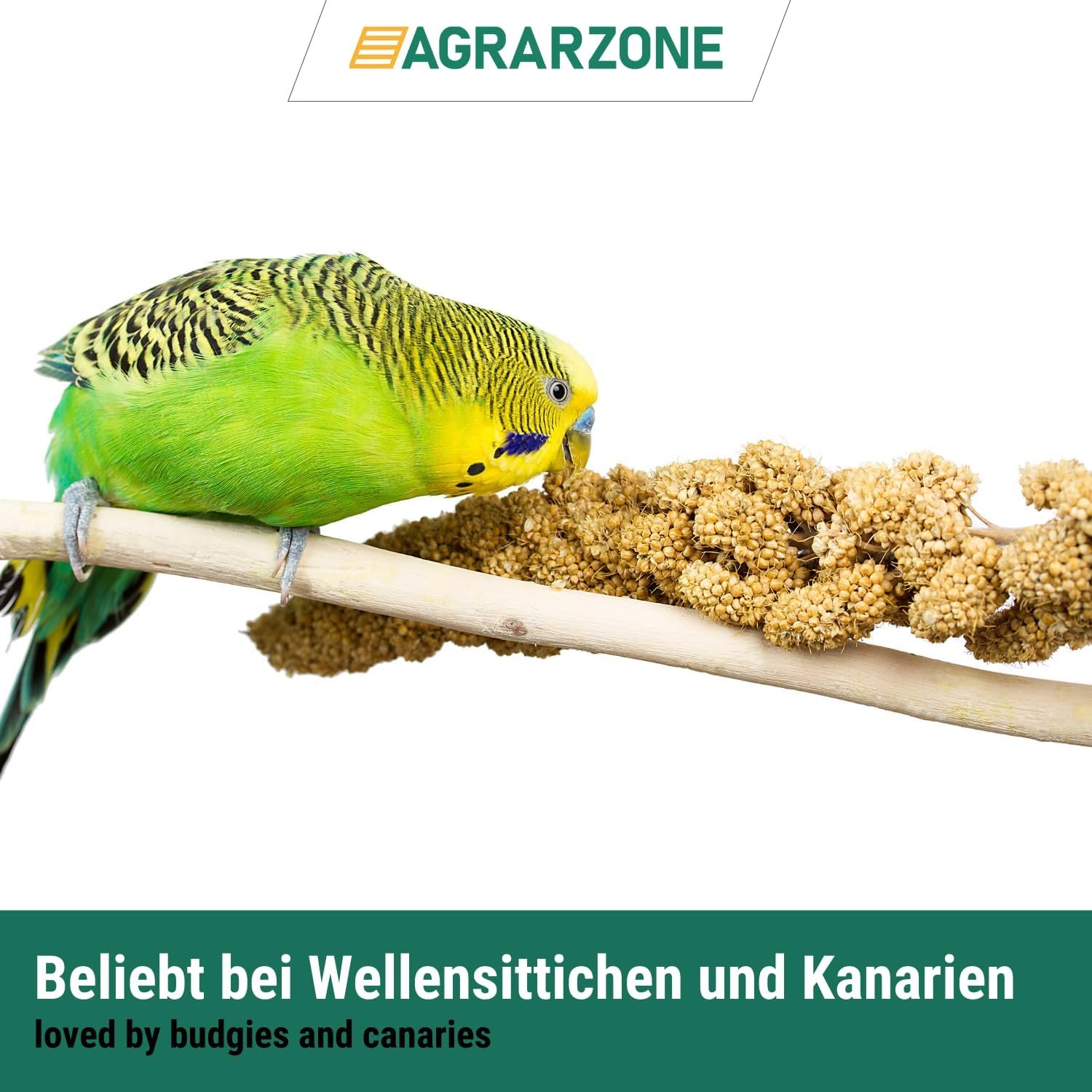 71oH0 97qVL. AC SL1500 .jpg