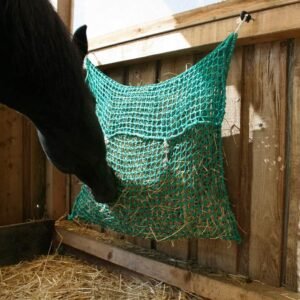 71qQ2 XfzBL. AC SL1072 .jpg