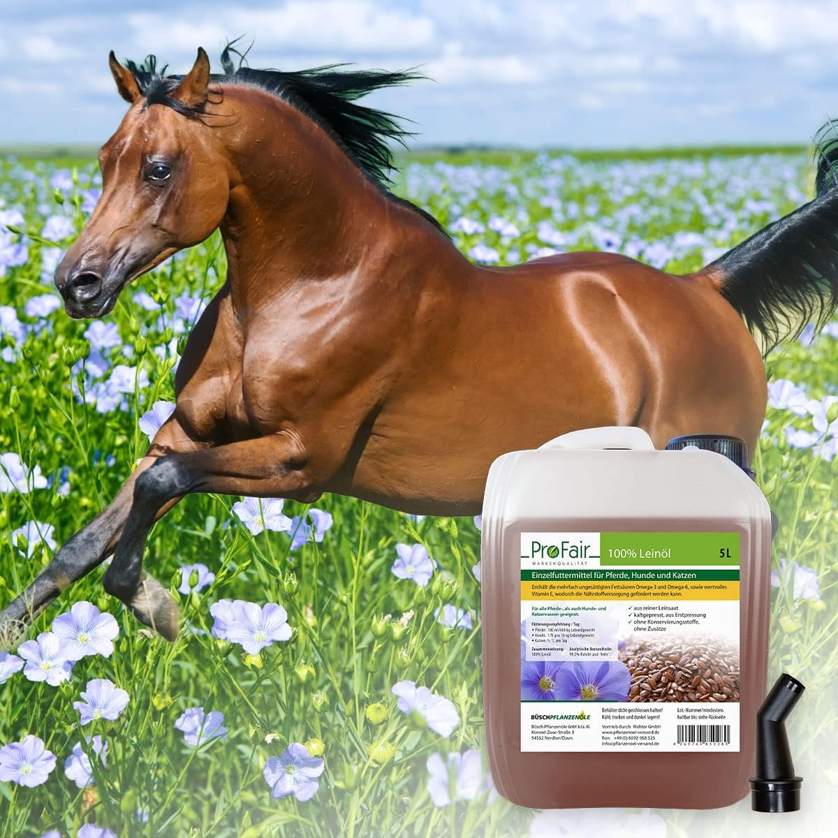 71qUqfhb2dL. AC SL1200 .jpg