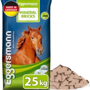 71r1bNnuTEL. AC SL1500 .jpg