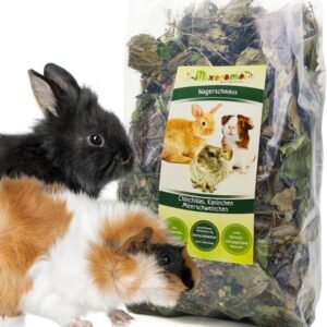 71u9B96qeVL. AC SL1080 .jpg