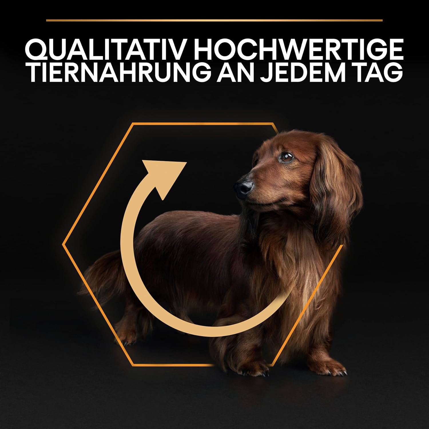 71uvqvXDrML. AC SL1500 .jpg