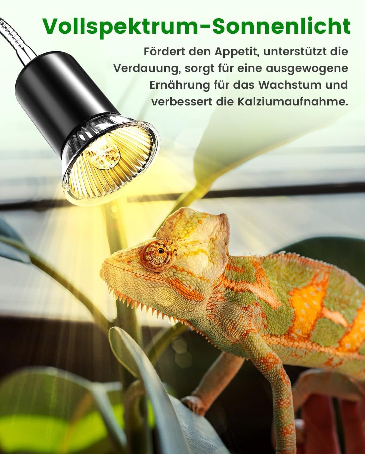 71vFuh4geOL. AC SL1500 .jpg