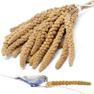 71wKfQrz1EL. AC SL1500 .jpg