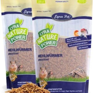 71x2DlkM8IL. AC SL1500 .jpg