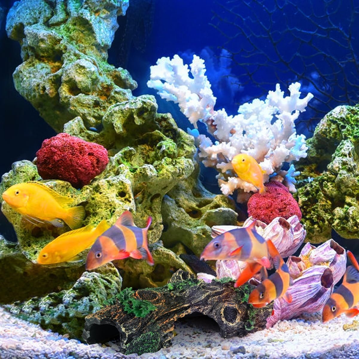 71xEhY7aIL. AC SL1200 .jpg