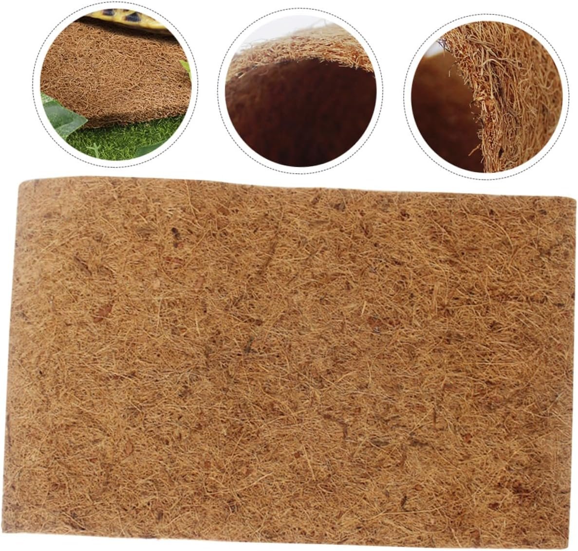 71yC9o6APL. AC SL1246 .jpg