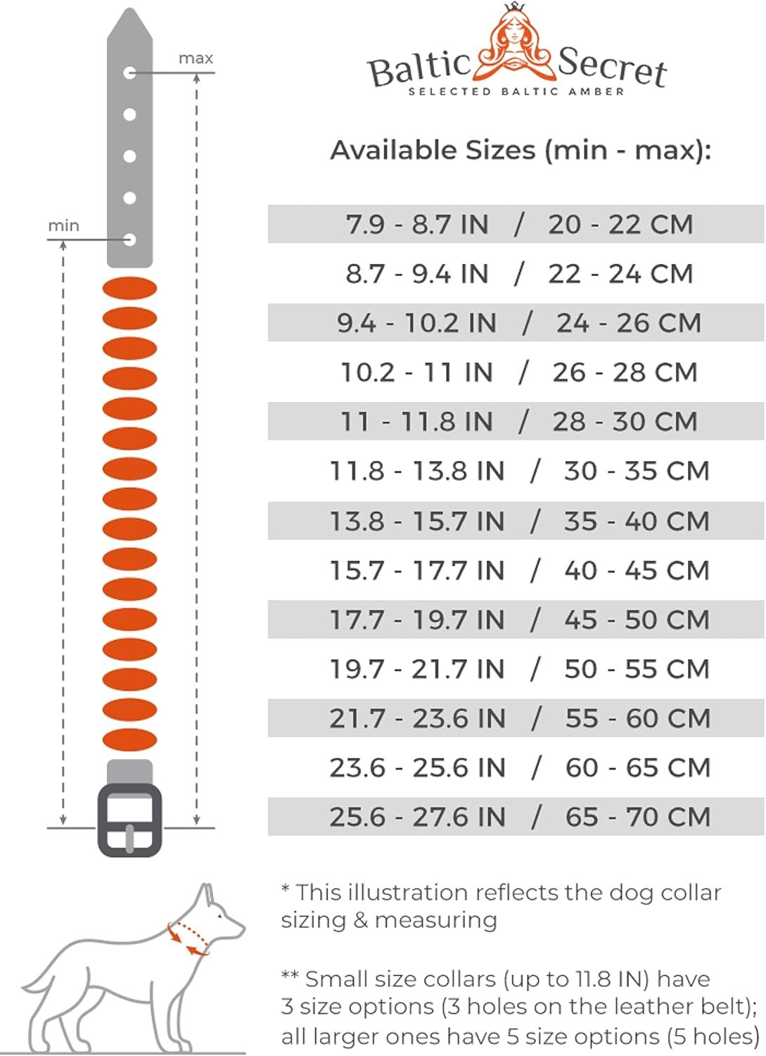 71z2JGc0O L. AC SL1500 .jpg