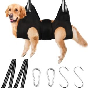 71zWyWck88L. AC SL1500 .jpg