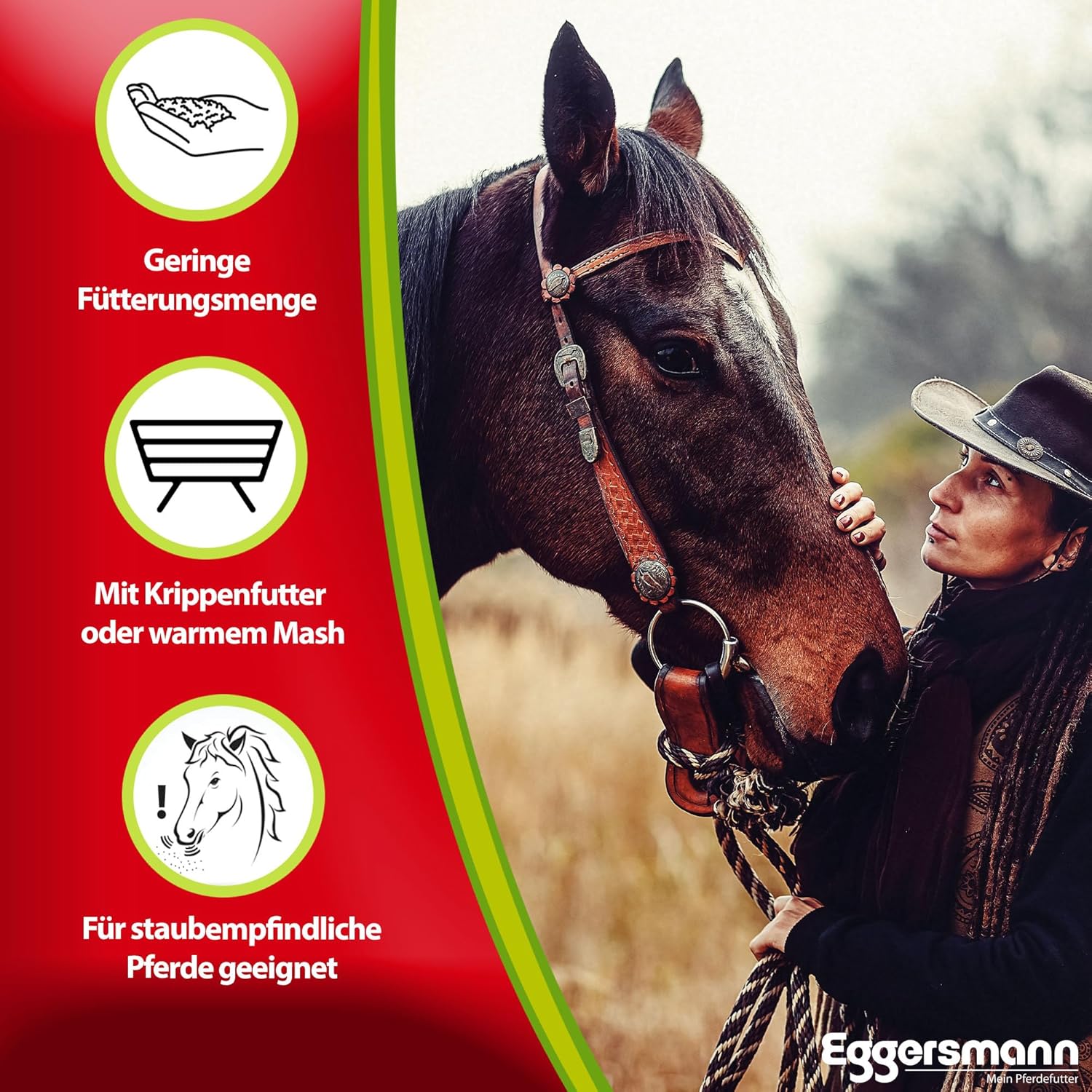 811no6bR3L. AC SL1500 .jpg