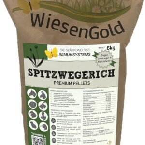 81475gBns5L. AC SL1500 .jpg