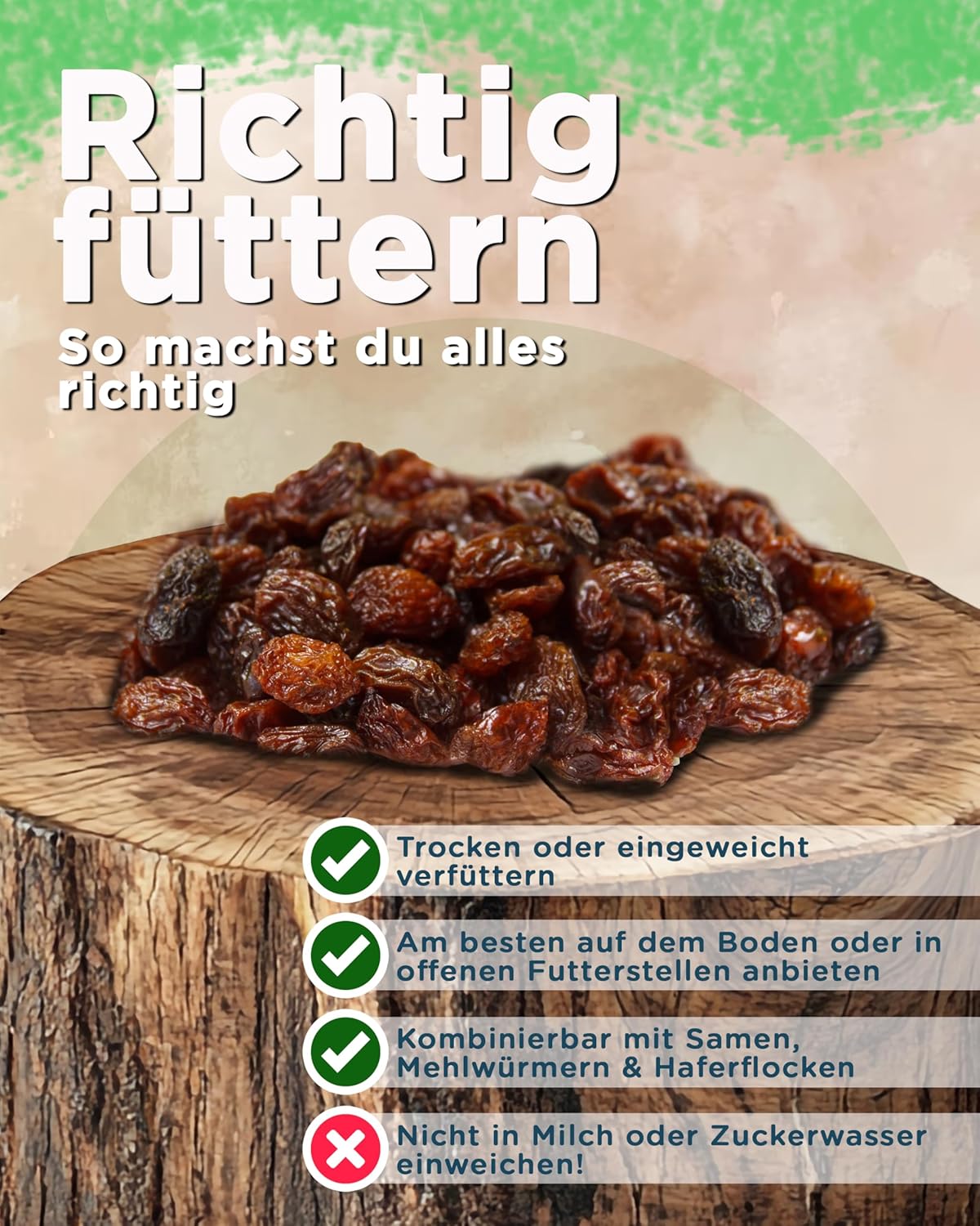 816W55QiuVL. AC SL1500 .jpg