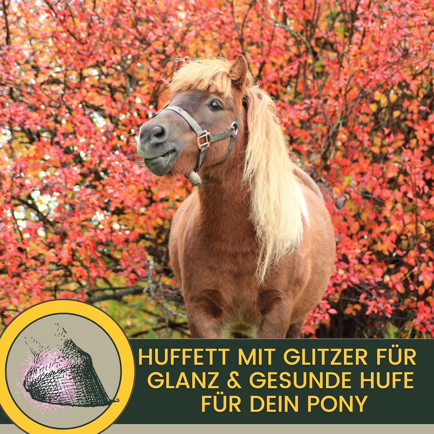 818ugAV6j L. AC SL1500 .jpg