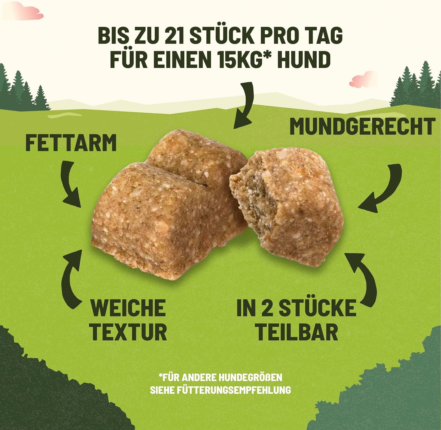 819PGvJPFQL. AC SL1500 .jpg