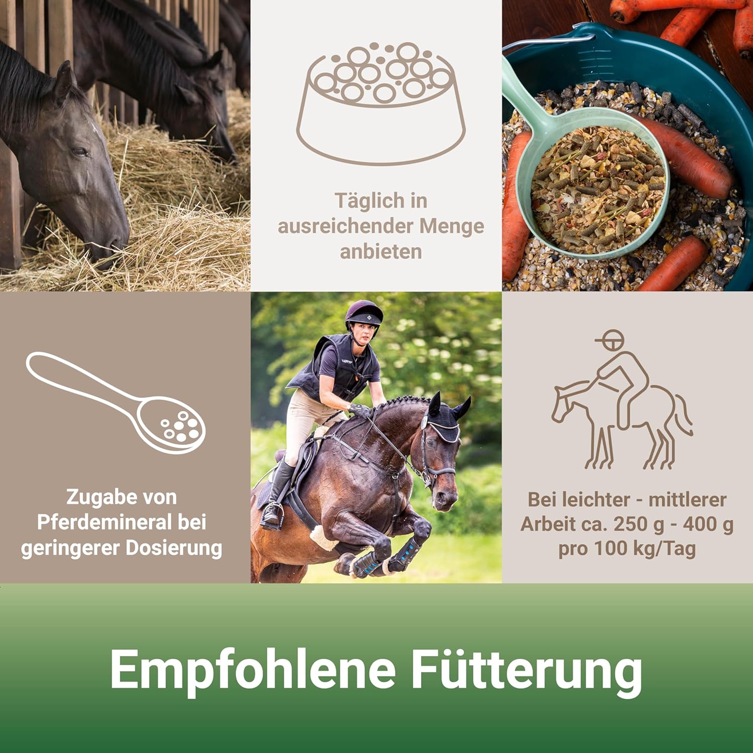 81BWo56xR2L. AC SL1500 .jpg