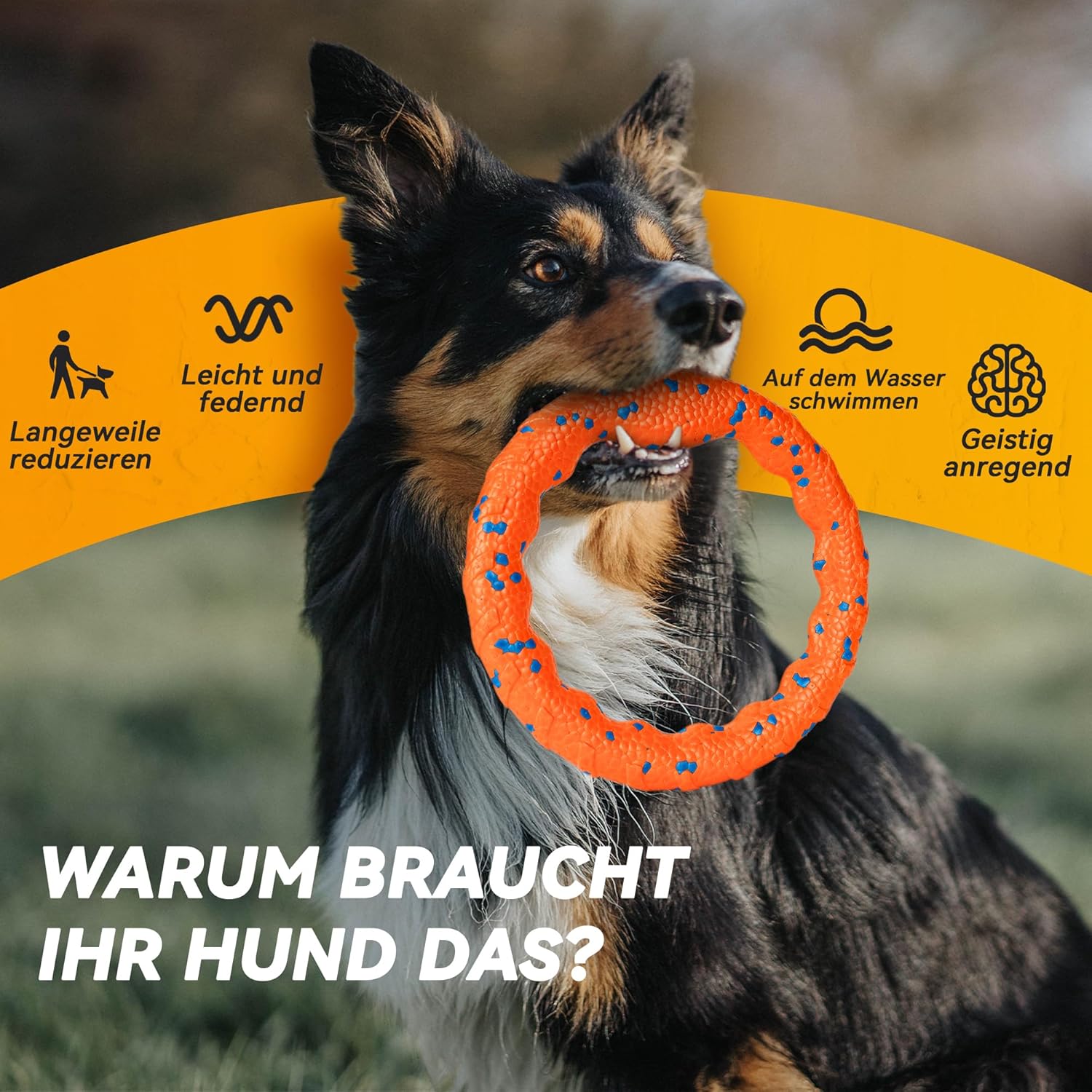 81CVshUKL. AC SL1500 .jpg