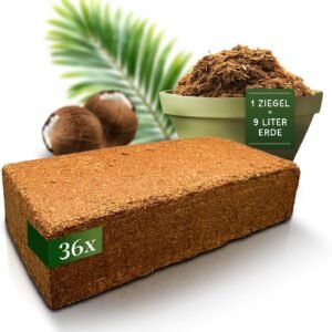 81CbWPc4ElL. AC SL1500 .jpg