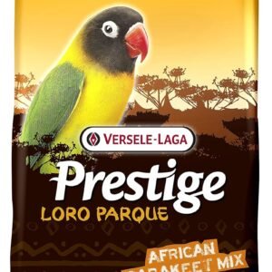 81DbbG8ifRS. SL1500 .jpg