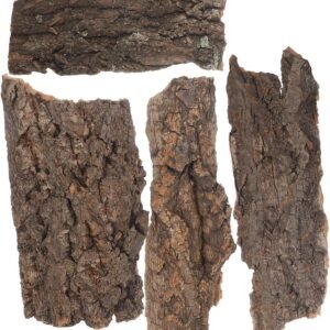 81EcY3tD6rL. AC SL1280 .jpg