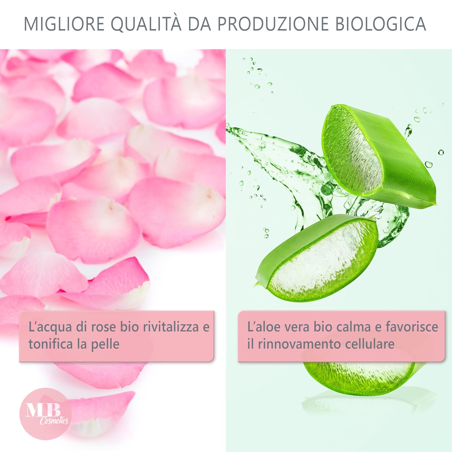 81IxNoYcpHL. SL1500 .jpg