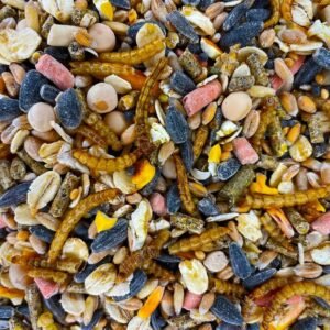 81Jm3qdlusL. AC SL1127 .jpg