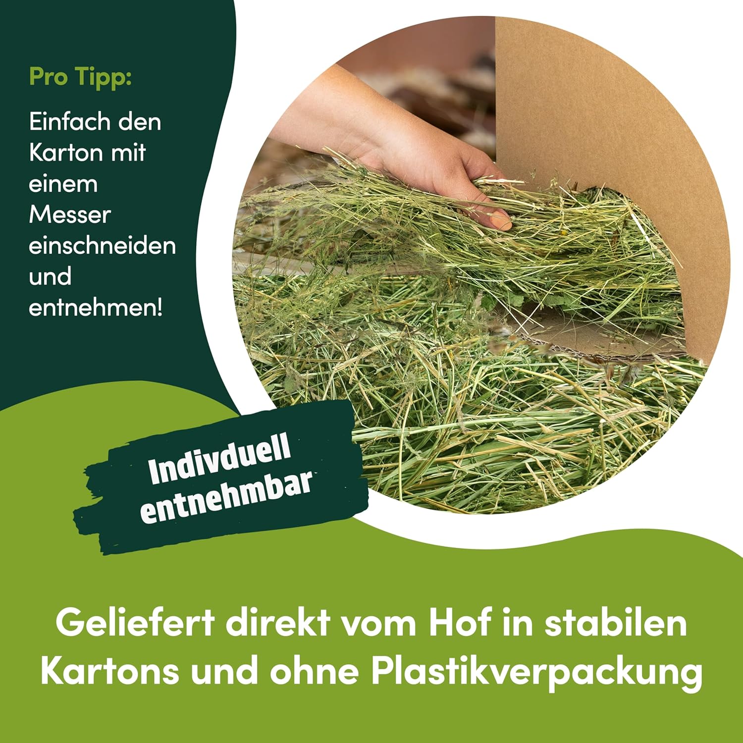 81Nj7cnx8L. AC SL1500 .jpg