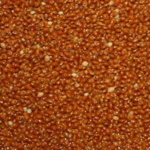 81PQ567Xw6L. AC SL1500 .jpg