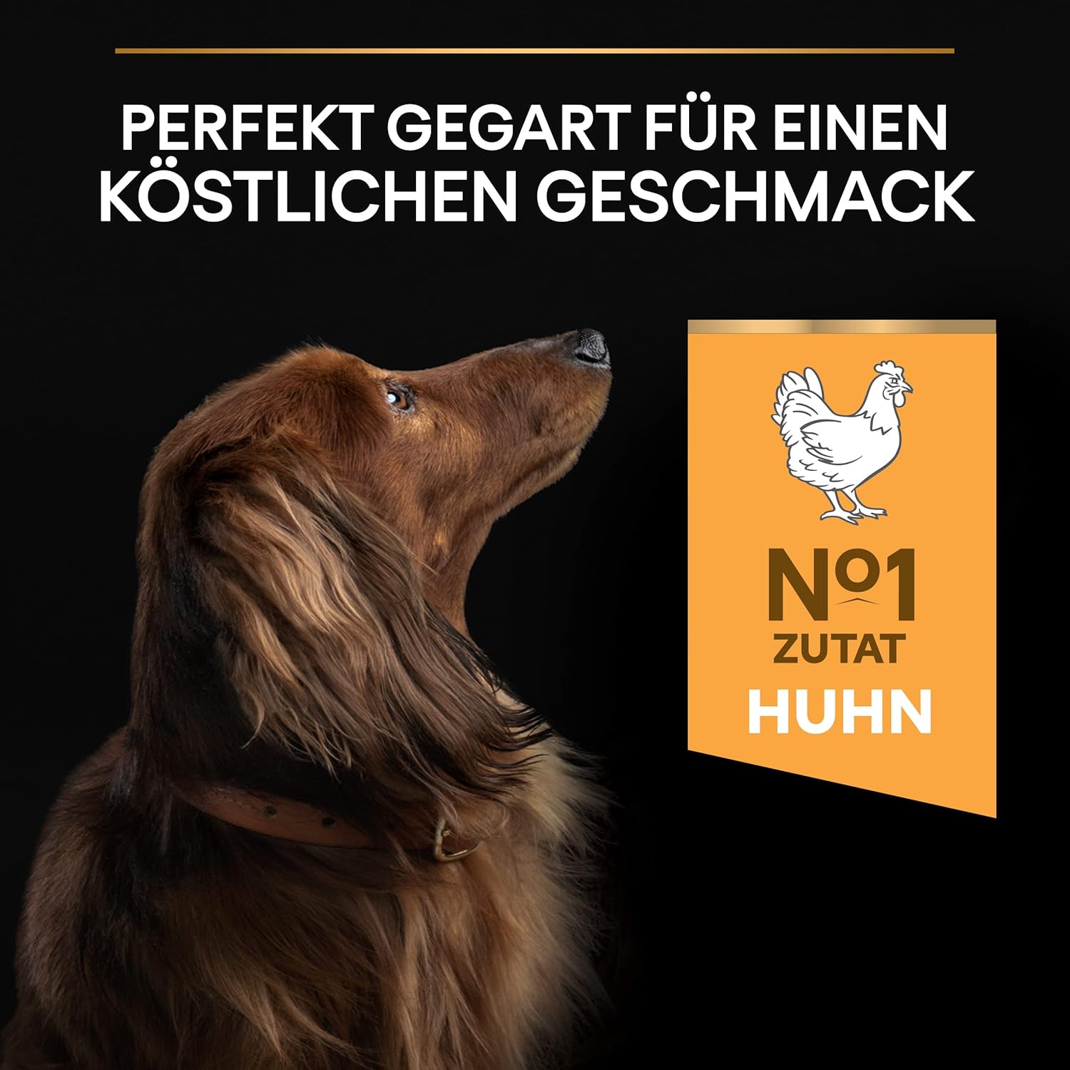 81PU2SSqT8L. AC SL1500 .jpg