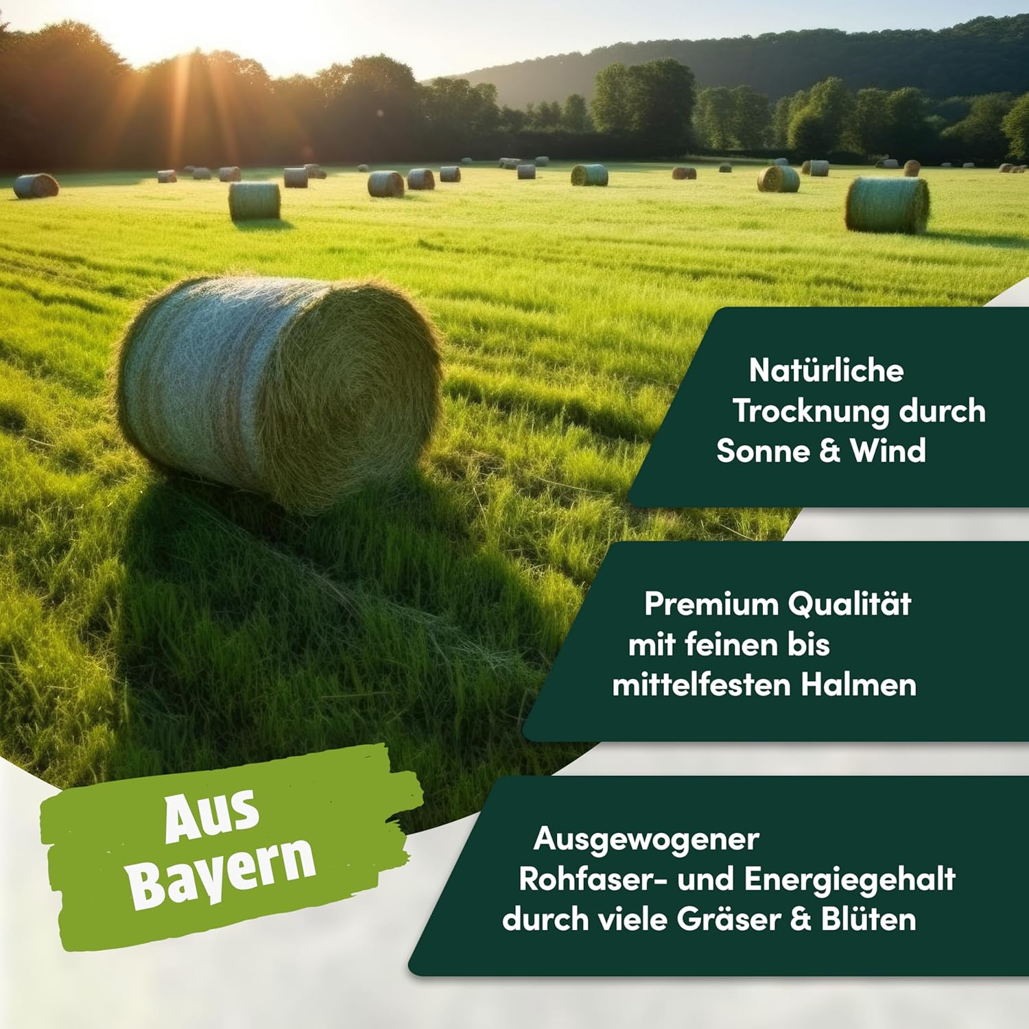 81RiXbMwKL. AC SL1500 .jpg