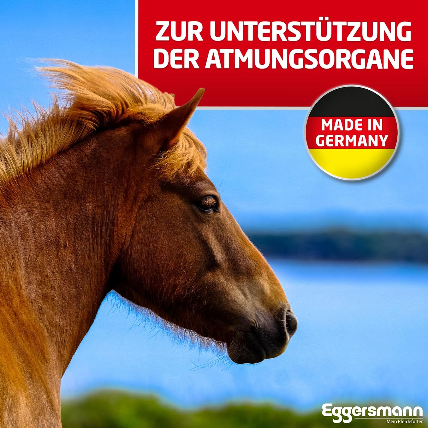 81RKO2LuWtL. AC SL1500 .jpg