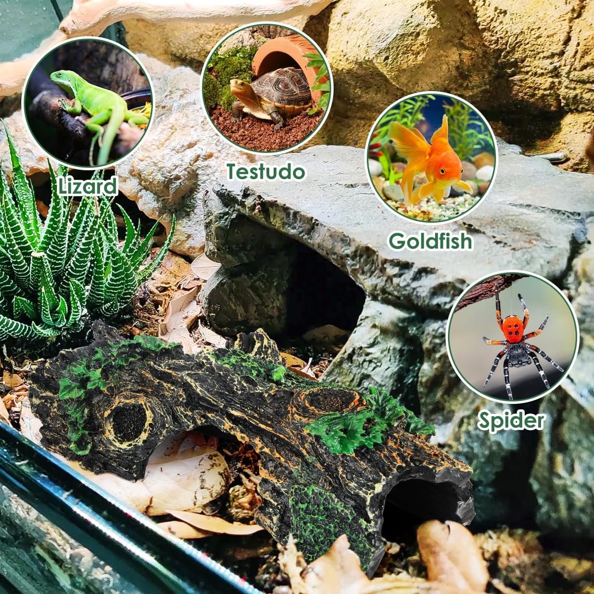 81SWAS7KpSL. AC SL1200 .jpg