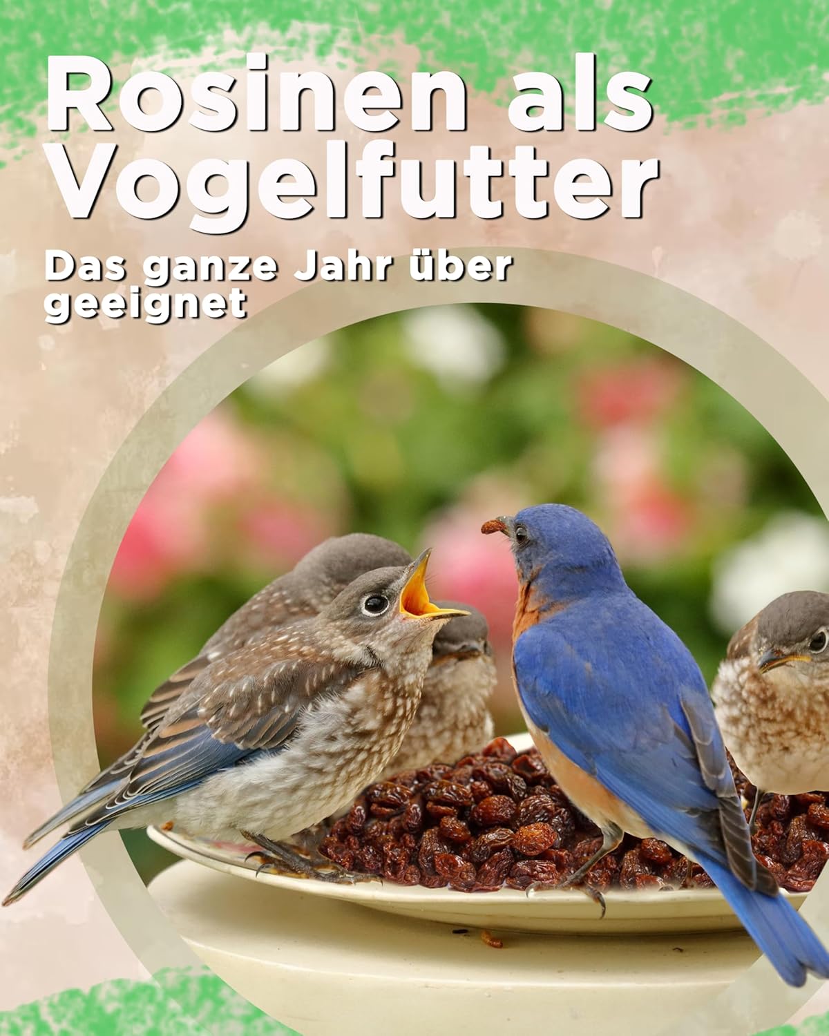 81TG3b2XHxL. AC SL1500 .jpg