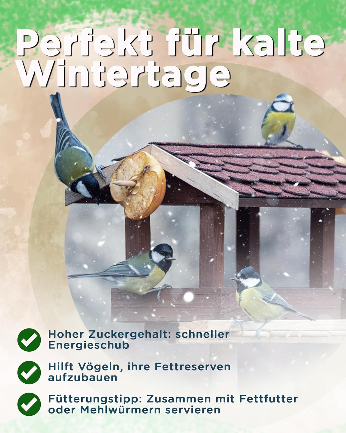 81UirUaNH4L. AC SL1500 .jpg