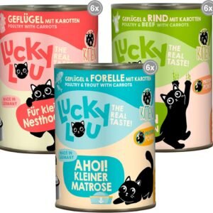 81W5cS5WMyL. AC SL1500 .jpg