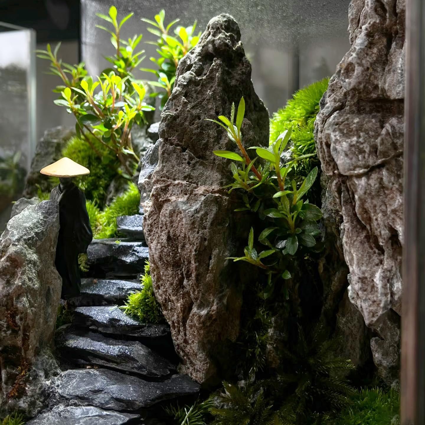 81ZCmwXPedL. AC SL1440 .jpg