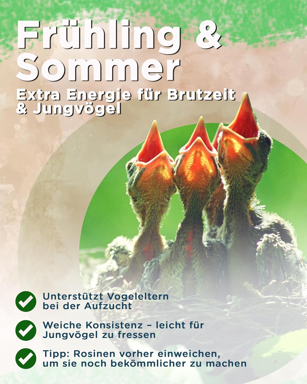 81aH7PrI8oL. AC SL1500 .jpg