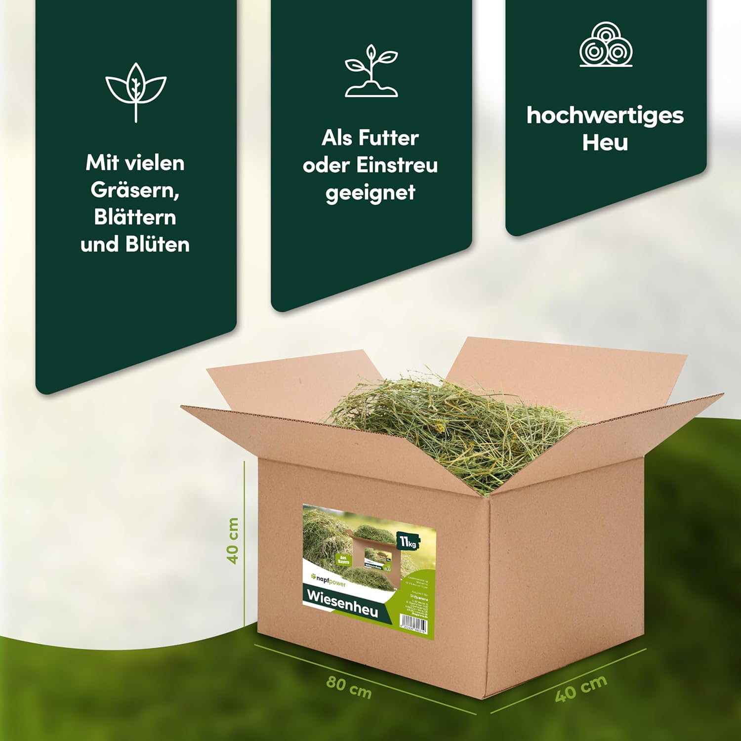 81b1v9GkeML. AC SL1500 .jpg