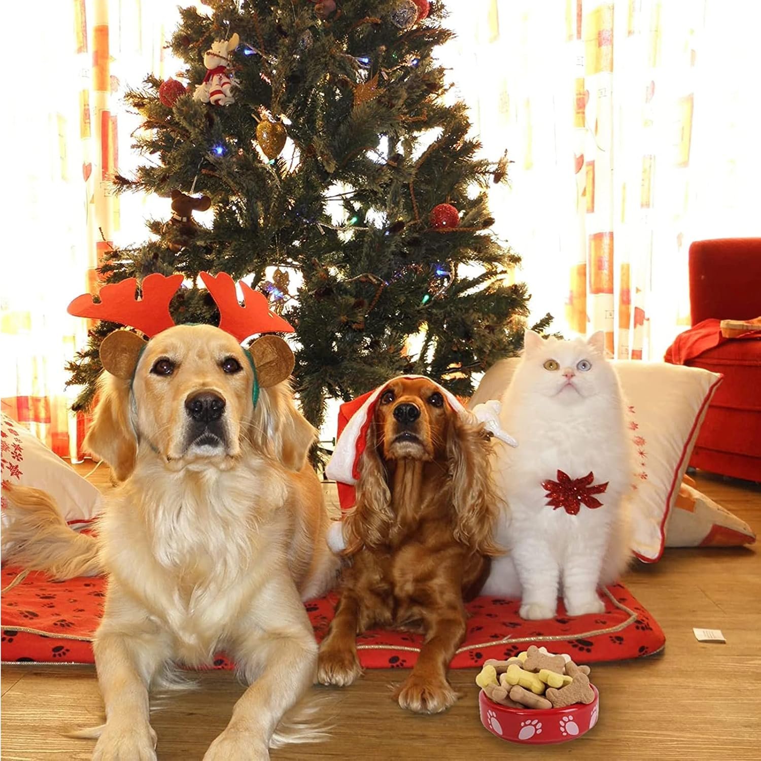 81bFXoC2m L. AC SL1500 .jpg