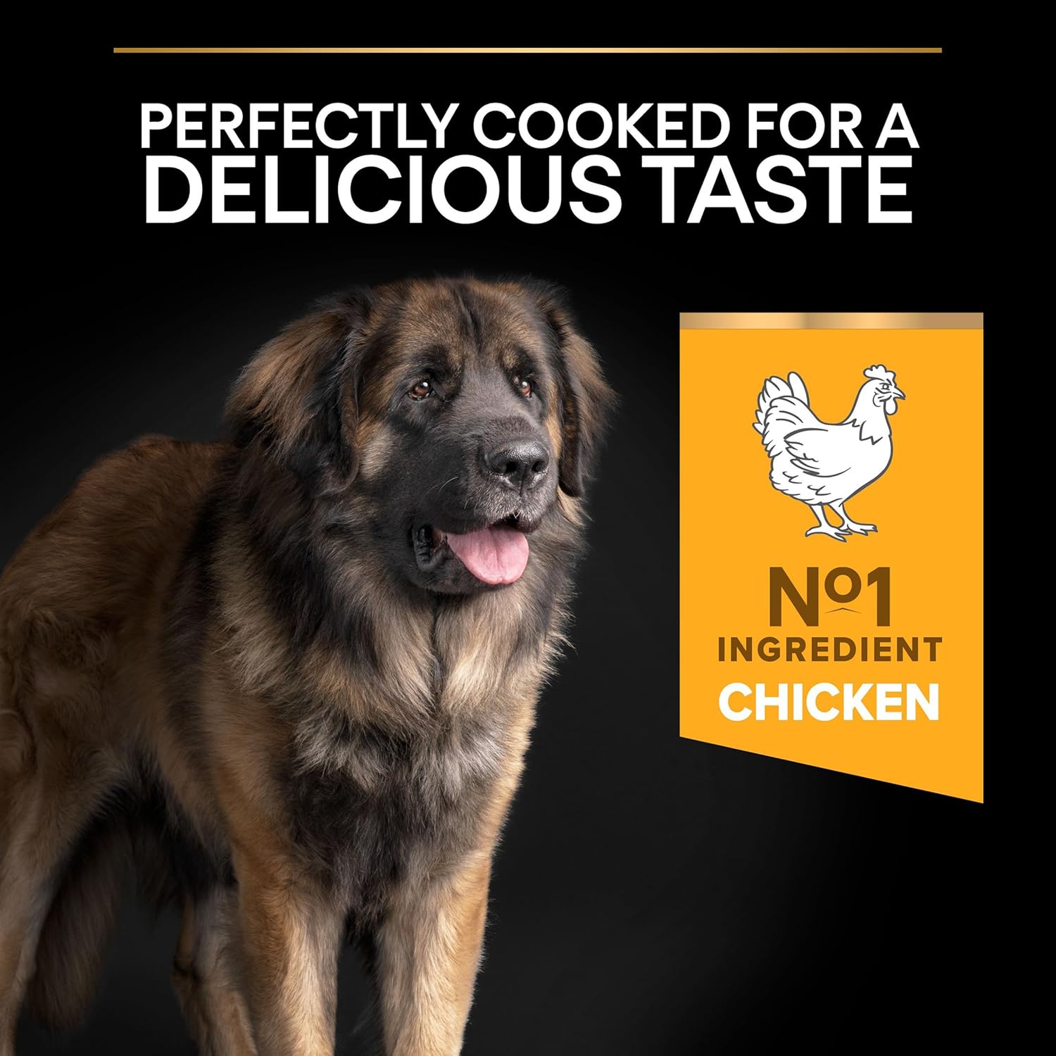 81bzf4ppAHL. AC SL1500 .jpg