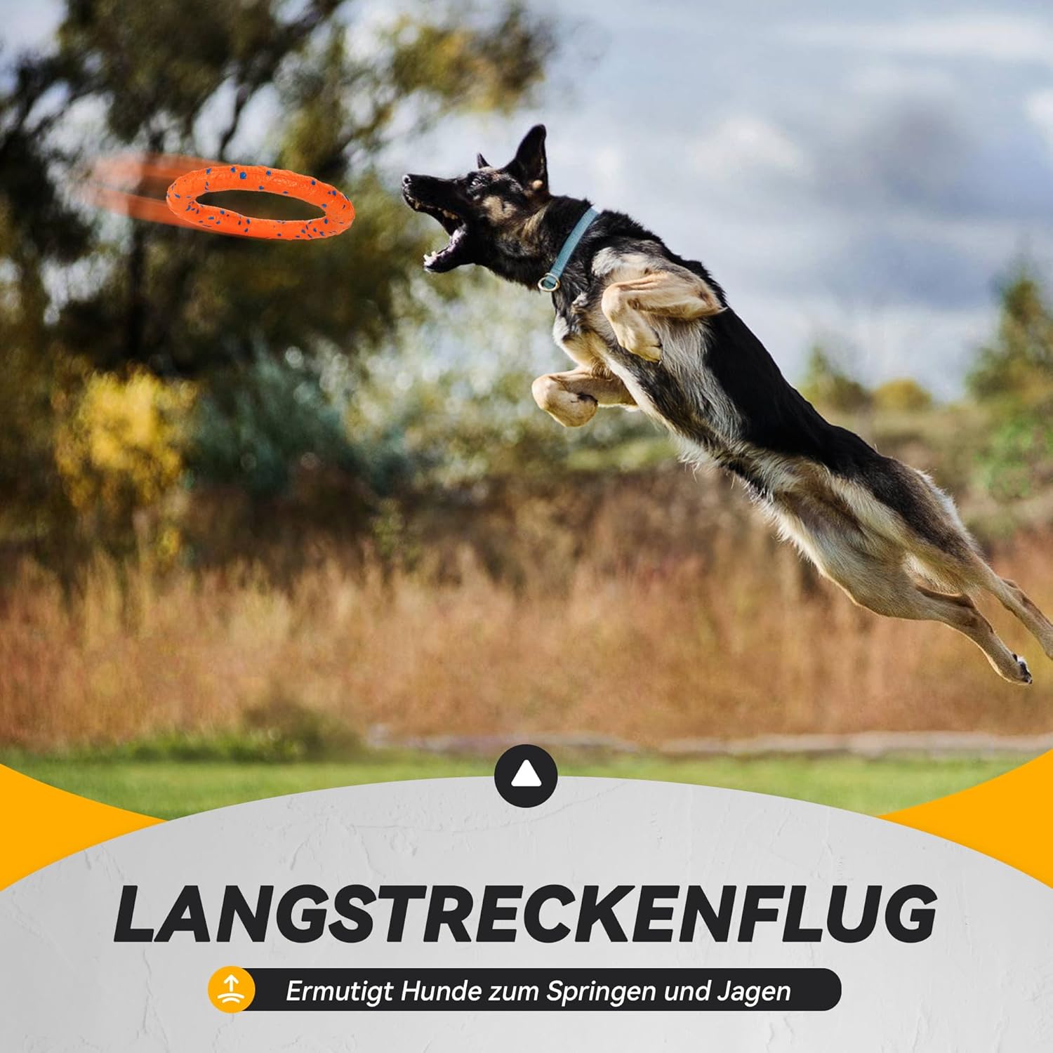 81gAekZUGcL. AC SL1500 .jpg