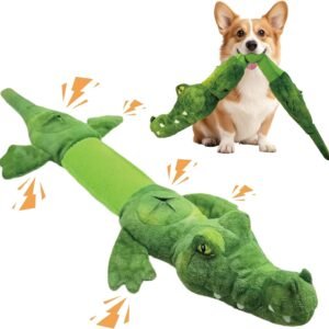 81kzMESGgWL. AC SL1500 .jpg