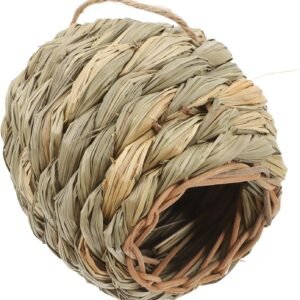 81l3HwOiS8L. AC SL1500 .jpg