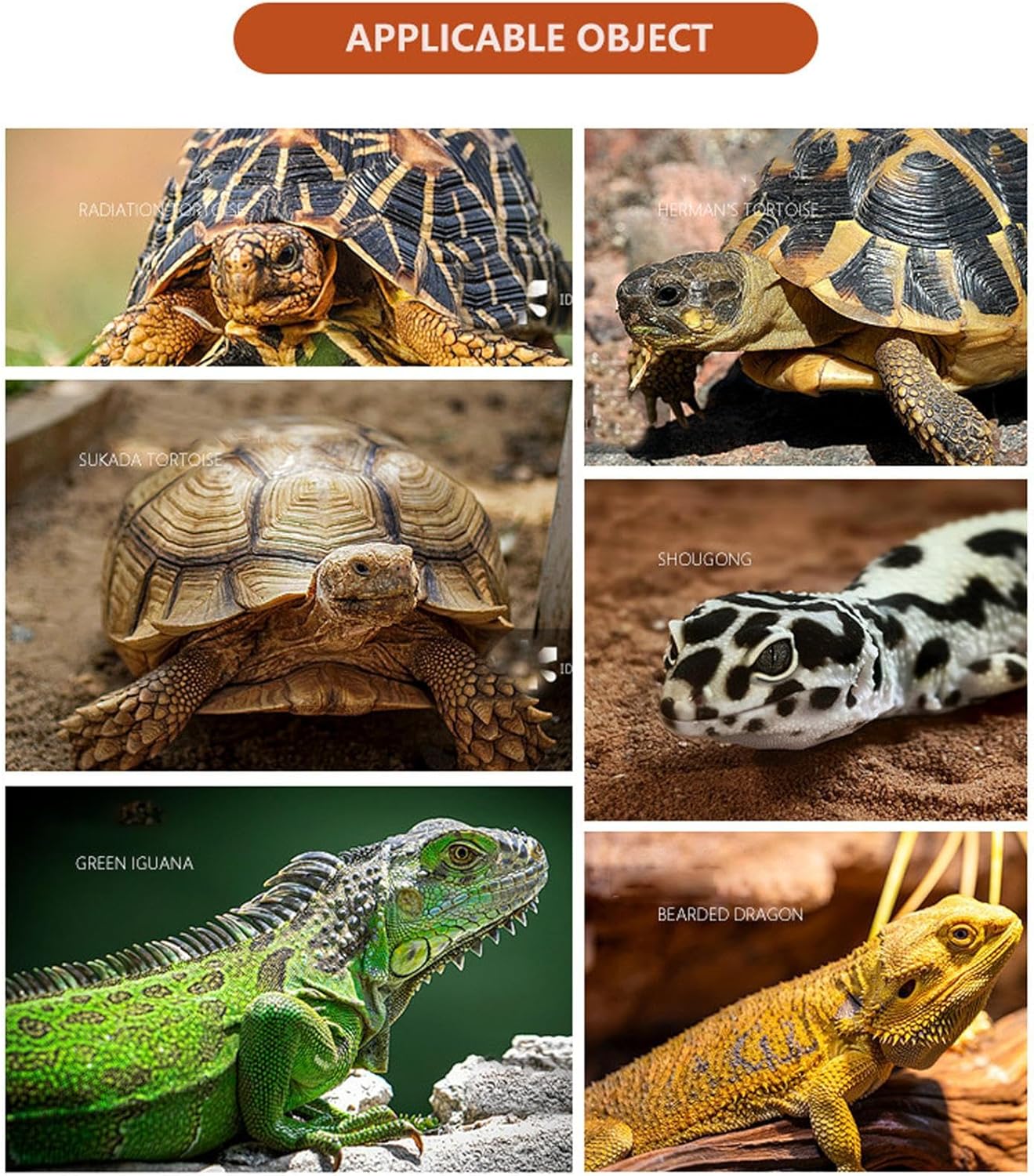 81lW2k029uL. AC SL1500 .jpg