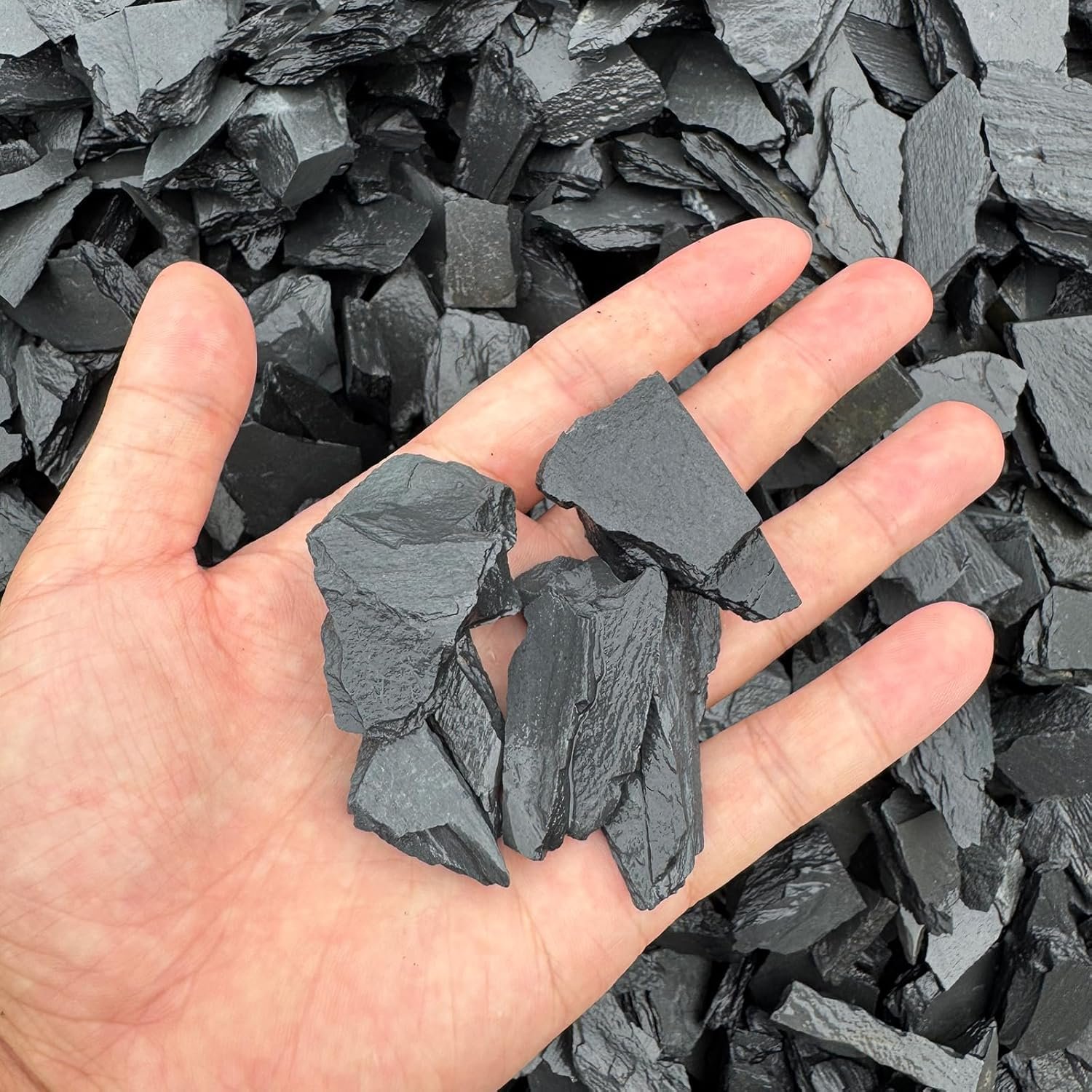 81ltEqUHZtL. AC SL1500 .jpg