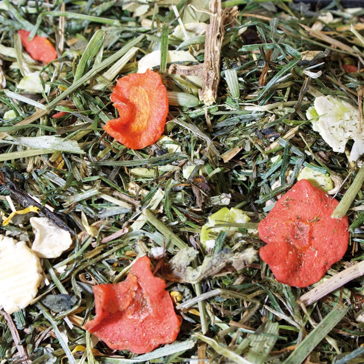 81o9rQer6TL. AC SL1280 .jpg