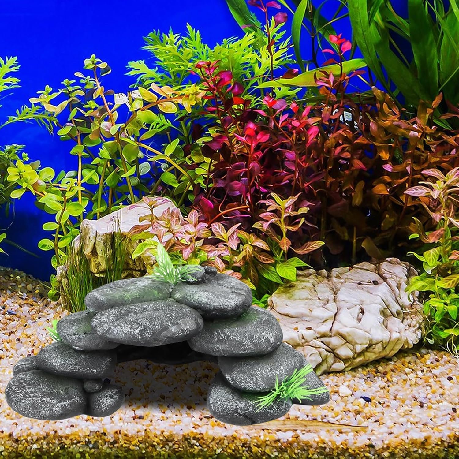 81q XvFBa1L. AC SL1500 .jpg