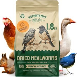 81rjFeDxn8L. AC SL1500 .jpg