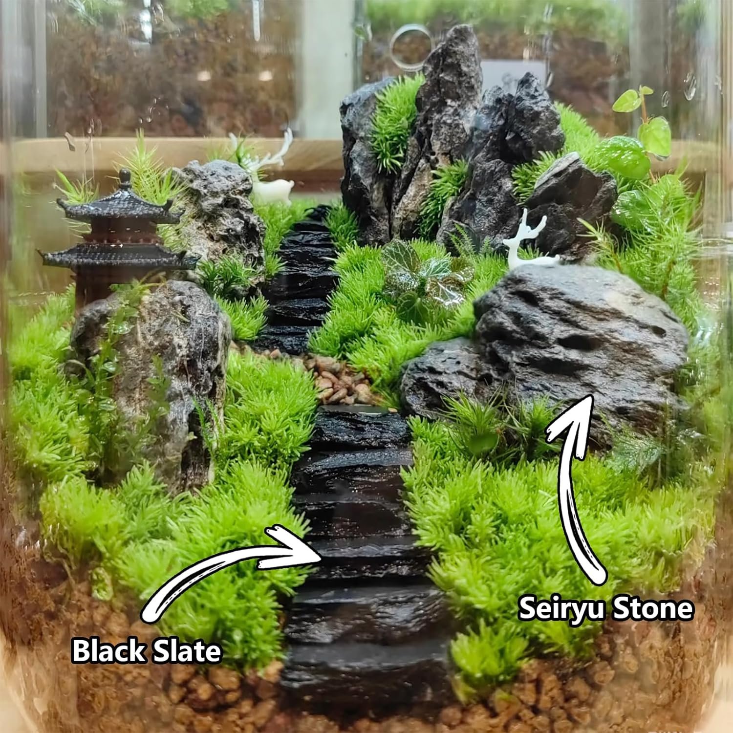 81sicPXBfyL. AC SL1500 .jpg