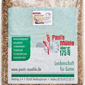 81u5rejascL. AC SL1500 .jpg