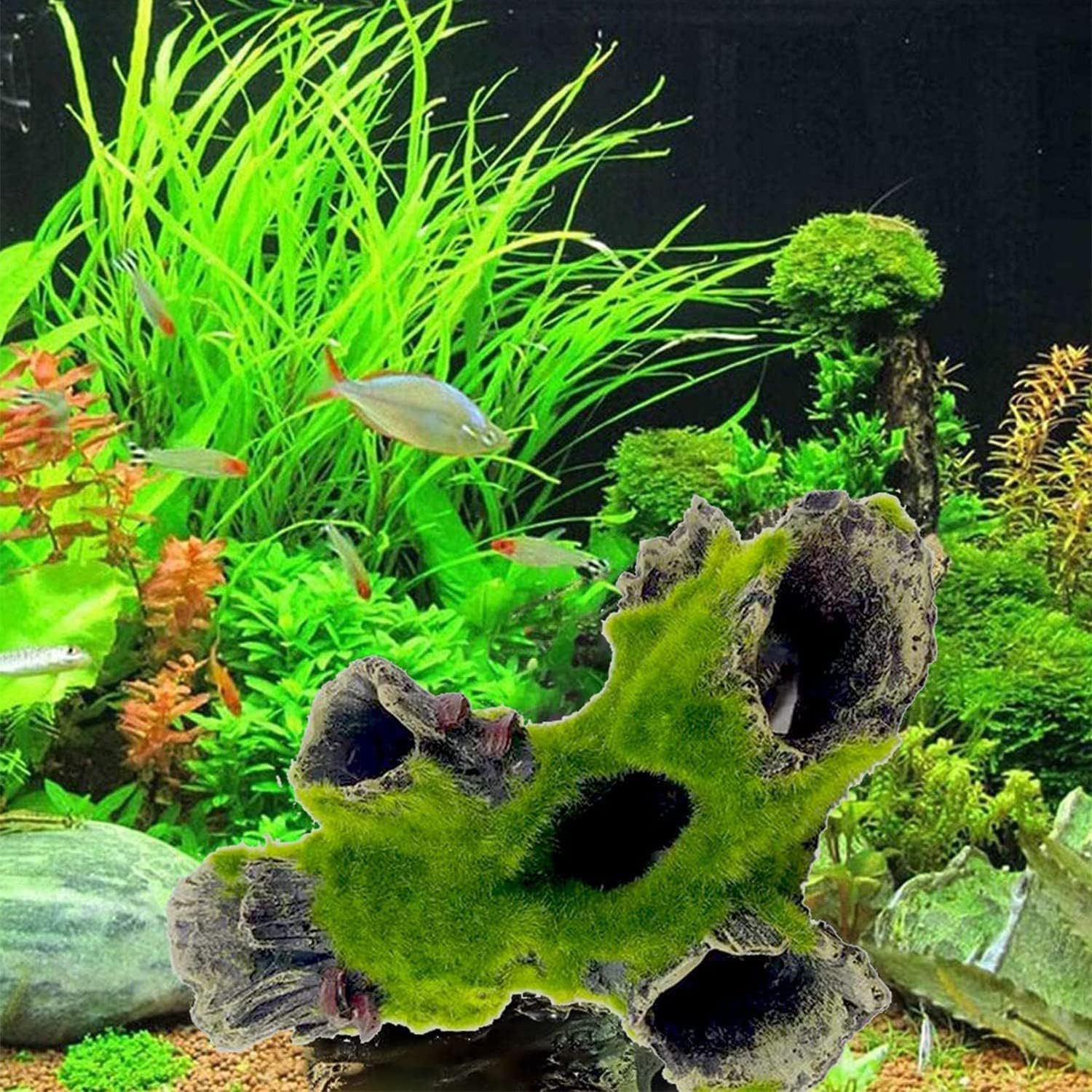 81uIaSccDhL. AC SL1500 .jpg